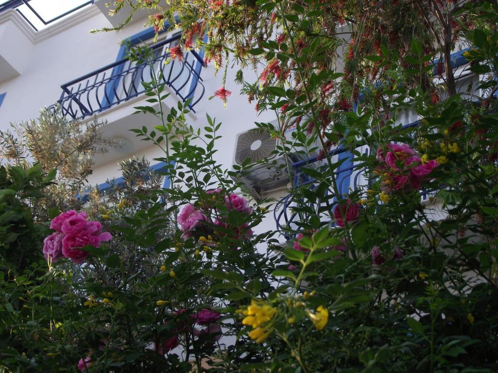 Miramar Pansiyon Kaş Extérieur photo
